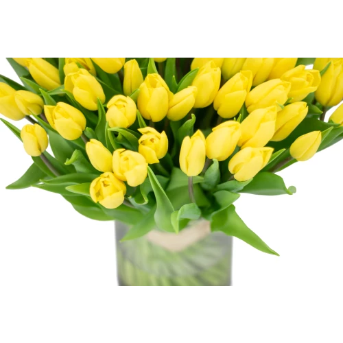 Kytice  tulipánů